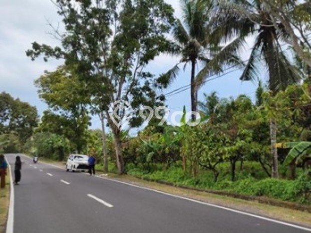 Tanah Kavling Dijual di Antosari, Tabanan dengan Luas Tanah 7275m2 Tanah Kavling Dijual di Antosari, Tabanan dengan Luas Tanah 7275m2