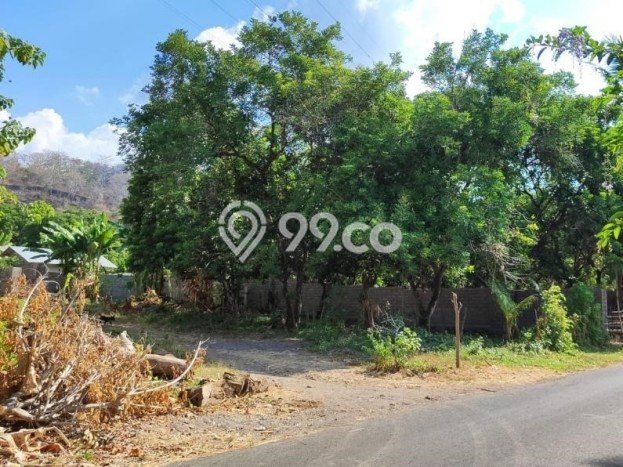 Tanah Kavling Dijual di Temukus, Buleleng dengan Luas Tanah 10000m2 Tanah Kavling Dijual di Temukus, Buleleng dengan Luas Tanah 10000m2