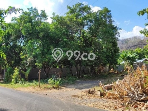 Tanah Kavling Dijual di Temukus, Buleleng dengan Luas Tanah 10000m2 Tanah Kavling Dijual di Temukus, Buleleng dengan Luas Tanah 10000m2