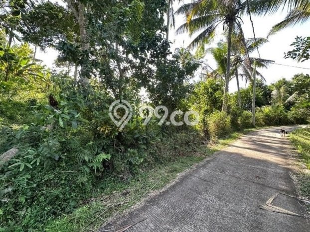 Dijual Tanah 2540m2 di Pohsanten, Jembrana Dijual Tanah 2540m2 di Pohsanten, Jembrana