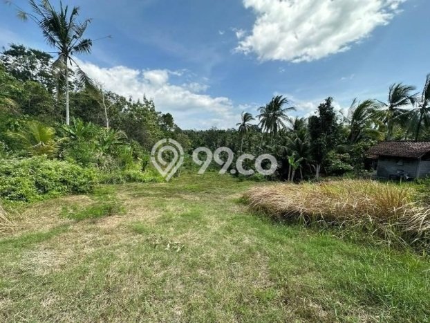 Tanah Kavling Dijual di Mendoyo Dauhtukad, Jembrana dengan Luas Tanah 3650m2 Tanah Kavling Dijual di Mendoyo Dauhtukad, Jembrana dengan Luas Tanah 3650m2