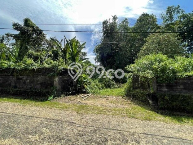 Tanah Kavling untuk Dijual di Penebel Tabanan 2700m2 Tanah Kavling untuk Dijual di Penebel Tabanan 2700m2