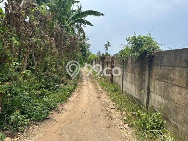 Tanah Kavling di Gerokgak Dijual dengan Luas 3775m2 Tanah Kavling di Gerokgak Dijual dengan Luas 3775m2