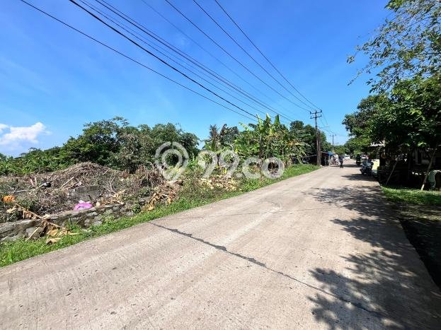 Lahan untuk Dijual Lokasi Cisauk, Tangerang Luas 118m2 SHM Lahan untuk Dijual Lokasi Cisauk, Tangerang Luas 118m2 SHM
