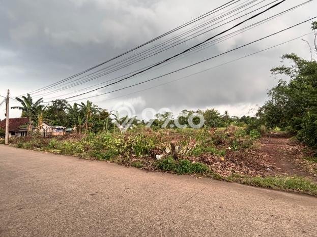 Lahan untuk Dijual di Cisauk Tangerang Luas 98m2 Lahan untuk Dijual di Cisauk Tangerang Luas 98m2