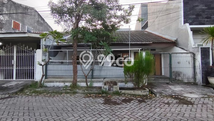 Rumah sewa siap huni 5 KT di Sutorejo, Surabaya Rumah sewa siap huni 5 KT di Sutorejo, Surabaya