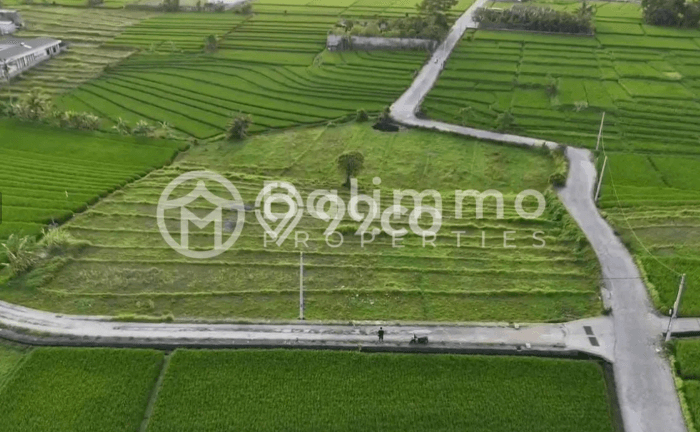 Untuk Disewa Tanah di Badung, Luas 4500m2 Area Berkembang Untuk Disewa Tanah di Badung, Luas 4500m2 Area Berkembang