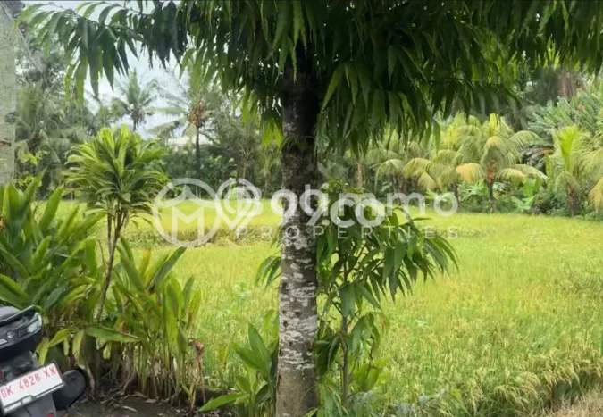Tanah Komersial Dijual di Tabanan Tabanan 2100m2 Tanah Komersial Dijual di Tabanan Tabanan 2100m2