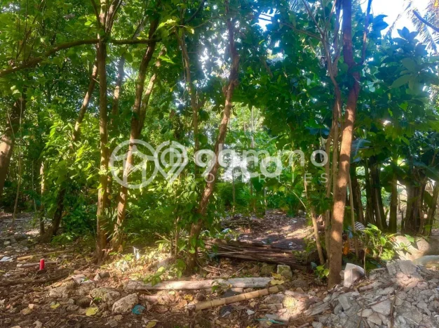 Dijual Tanah 280m2 di Uluwatu, Badung Dijual Tanah 280m2 di Uluwatu, Badung