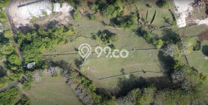 Tanah Dijual di Badung Seluas 2500m2 Strategis Tanah Dijual di Badung Seluas 2500m2 Strategis