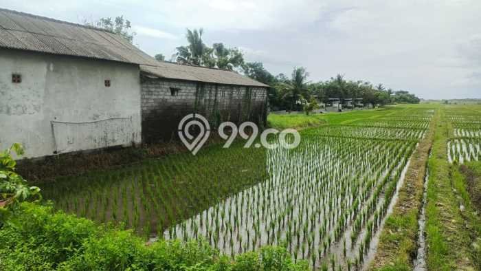 Tanah Kavling Dijual di Kelating, Tabanan dengan Luas Tanah 4500m2 Tanah Kavling Dijual di Kelating, Tabanan dengan Luas Tanah 4500m2