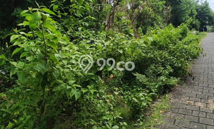 Disewakan Tanah di Jimbaran Badung Seluas 30000m2 Disewakan Tanah di Jimbaran Badung Seluas 30000m2
