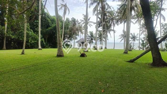 Untuk Dijual Tanah di Tabanan, Luas 20600m2 - Untuk Dijual Tanah di Tabanan, Luas 20600m2 -
