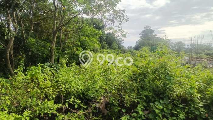 Tanah Disewa di Balangan Strategis dan Memiliki Luas 459m2 Tanah Disewa di Balangan Strategis dan Memiliki Luas 459m2