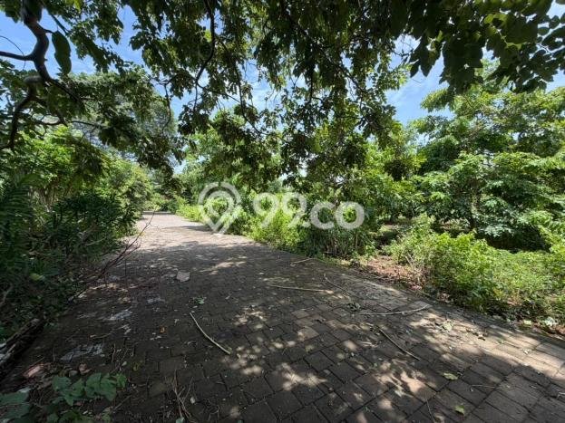 Kavling Tanah untuk Disewa di Balangan Lahan Luas 2800m2 Kavling Tanah untuk Disewa di Balangan Lahan Luas 2800m2