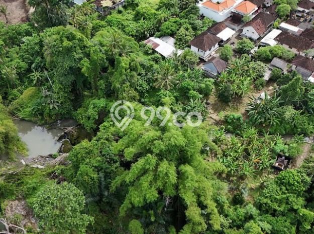Tanah Kavling Disewakan di Buwit dengan Luas 12m2 Tanah Kavling Disewakan di Buwit dengan Luas 12m2