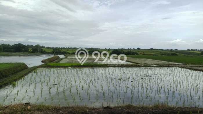 Tanah Dijual di Tabanan Seluas 1300m2 Strategis Tanah Dijual di Tabanan Seluas 1300m2 Strategis