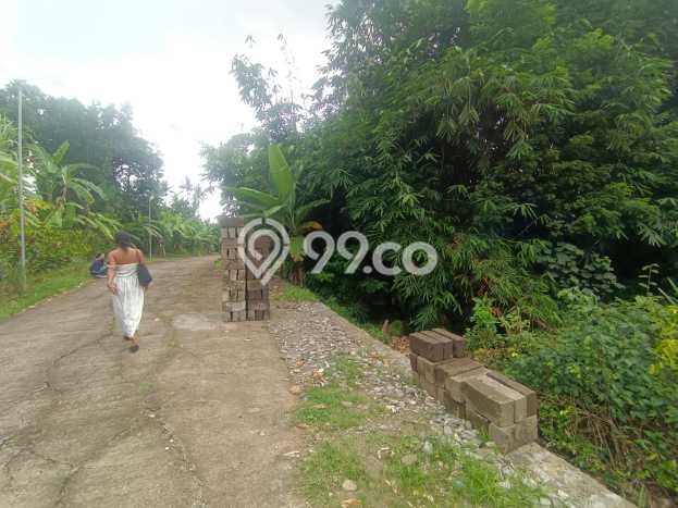 Tanah Kavling Dijual di Tabanan dengan Spesifikasi 645m2 Tanah Kavling Dijual di Tabanan dengan Spesifikasi 645m2