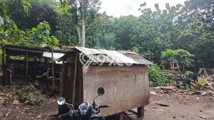 Dijual Tanah Lokasi Jimbaran, Badung Seluas 900m2 Dijual Tanah Lokasi Jimbaran, Badung Seluas 900m2