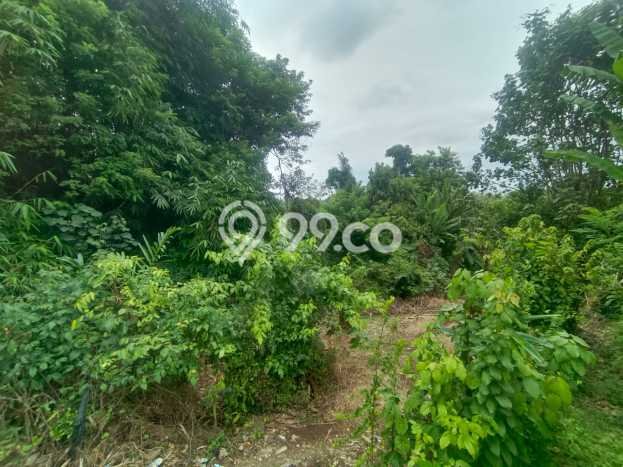 Tanah Kavling Dijual di Tabanan dengan Spesifikasi 645m2 Tanah Kavling Dijual di Tabanan dengan Spesifikasi 645m2