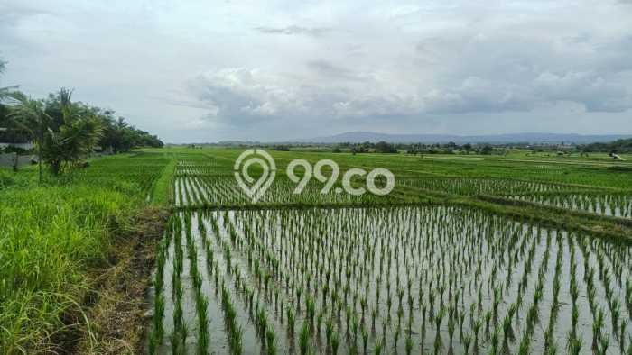 Dijual Tanah 2700m2 di Kelating, Tabanan Dijual Tanah 2700m2 di Kelating, Tabanan