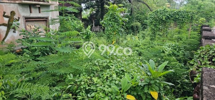 Tanah Dijual Lokasi Strategis di Badung dengan Luas 700m2 Tanah Dijual Lokasi Strategis di Badung dengan Luas 700m2