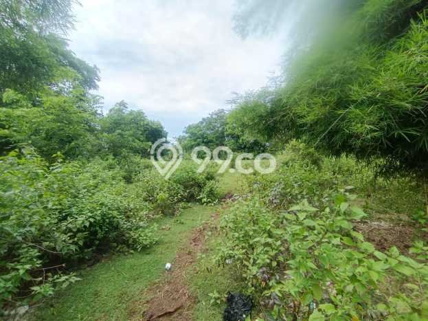 Tanah Investasi Dijual di Badung Punya Luas 2000m2 Tanah Investasi Dijual di Badung Punya Luas 2000m2