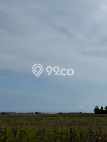 Dijual Tanah 1800m2 di Klecung, Tabanan Dijual Tanah 1800m2 di Klecung, Tabanan