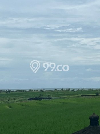 Tanah Dijual Area Strategis di Tibubiyu Tabanan 3300m2 Tanah Dijual Area Strategis di Tibubiyu Tabanan 3300m2