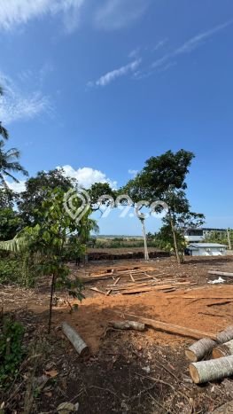 Tanah Kavling Dijual di Tabanan dengan Spesifikasi 805m2 Tanah Kavling Dijual di Tabanan dengan Spesifikasi 805m2