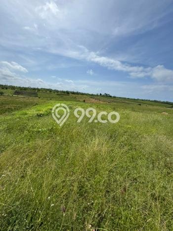 Tanah Kavling Dijual di Tibubiyu, Tabanan dengan Luas Tanah 2000m2 Tanah Kavling Dijual di Tibubiyu, Tabanan dengan Luas Tanah 2000m2