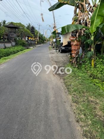 Dijual Tanah 1800m2 di Klecung, Tabanan Dijual Tanah 1800m2 di Klecung, Tabanan
