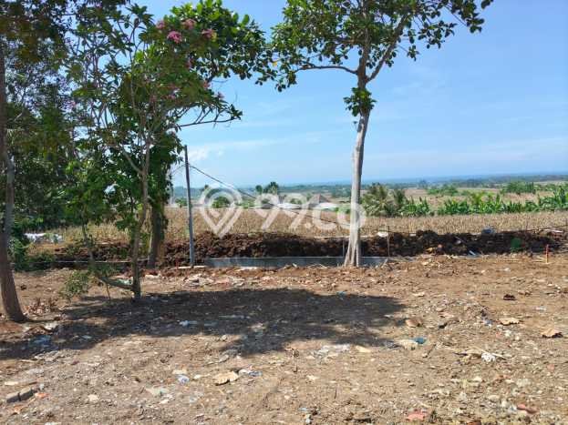 Tanah Kavling Dijual di Tabanan dengan Spesifikasi 805m2 Tanah Kavling Dijual di Tabanan dengan Spesifikasi 805m2