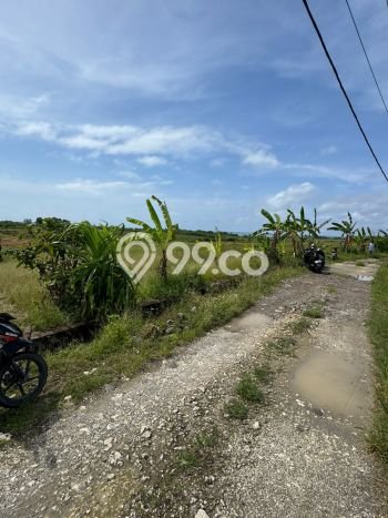Tanah Kavling Dijual di Tibubiyu, Tabanan dengan Luas Tanah 2000m2 Tanah Kavling Dijual di Tibubiyu, Tabanan dengan Luas Tanah 2000m2
