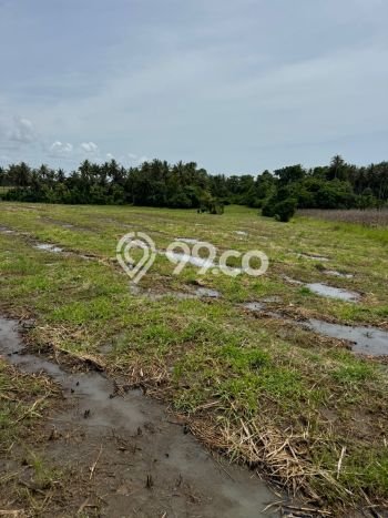 Lahan Strategis di Tabanan Dijual dengan Luas 3200m2 Lahan Strategis di Tabanan Dijual dengan Luas 3200m2