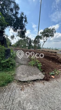 Tanah Kavling Dijual di Tabanan dengan Spesifikasi 805m2 Tanah Kavling Dijual di Tabanan dengan Spesifikasi 805m2