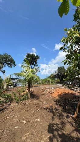 Tanah Kavling Dijual di Tabanan dengan Spesifikasi 805m2 Tanah Kavling Dijual di Tabanan dengan Spesifikasi 805m2