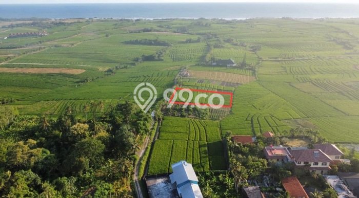 Kavling Tanah untuk Dijual di Tibubiyu, Tabanan, Luas 1700m2 Kavling Tanah untuk Dijual di Tibubiyu, Tabanan, Luas 1700m2