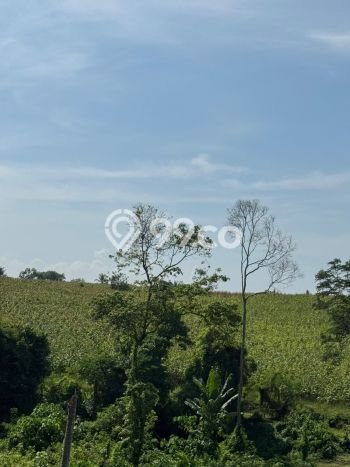 Tanah Kavling Dijual di Tegalmengkeb, Tabanan dengan Luas Tanah 525m2 Tanah Kavling Dijual di Tegalmengkeb, Tabanan dengan Luas Tanah 525m2