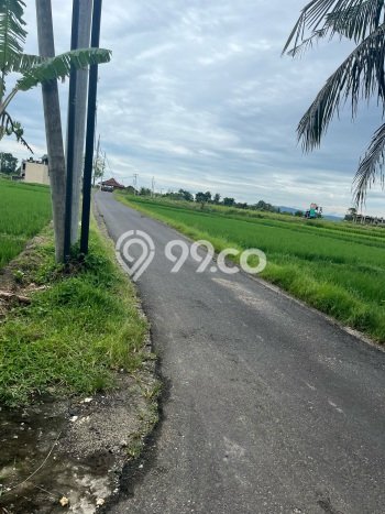 Tanah Dijual Area Strategis di Tibubiyu Tabanan 3300m2 Tanah Dijual Area Strategis di Tibubiyu Tabanan 3300m2