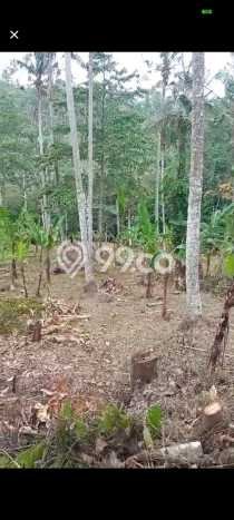 Lahan Investasi Lokasi Tabanan Tabanan SHM Lahan Investasi Lokasi Tabanan Tabanan SHM