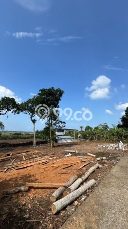Tanah Kavling Dijual di Tabanan dengan Spesifikasi 805m2 Tanah Kavling Dijual di Tabanan dengan Spesifikasi 805m2