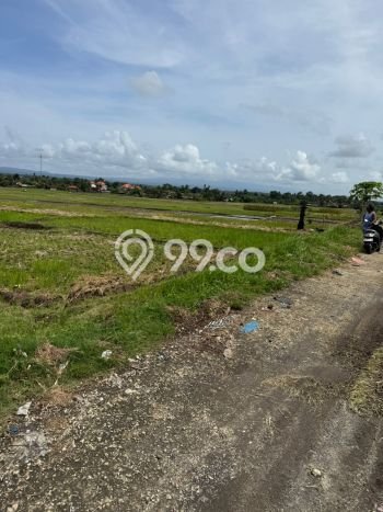 Lahan Strategis di Tabanan Dijual dengan Luas 3200m2 Lahan Strategis di Tabanan Dijual dengan Luas 3200m2
