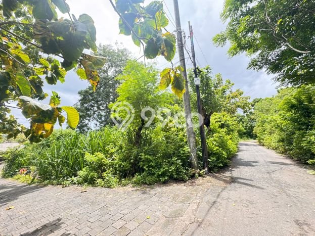 Tanah Disewa Strategis di Badung Luas 1800m2 Tanah Disewa Strategis di Badung Luas 1800m2