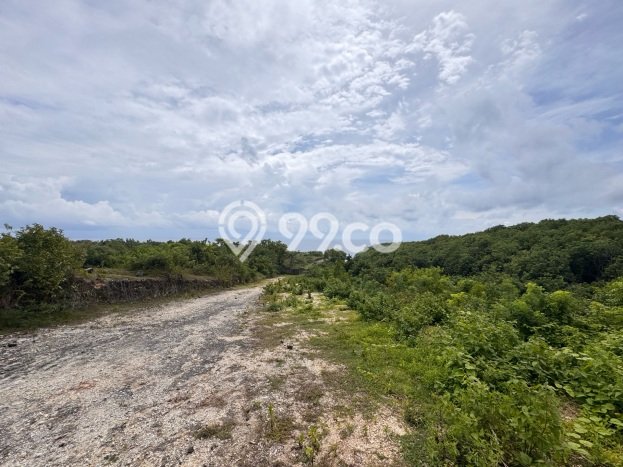 Tanah Kavling Disewakan di Ungasan dengan Luas 23000m2 Tanah Kavling Disewakan di Ungasan dengan Luas 23000m2