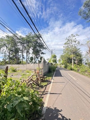 Disewakan Tanah di Balangan Badung Seluas 1500m2 Disewakan Tanah di Balangan Badung Seluas 1500m2
