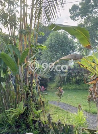 Tanah Dijual di Gianyar Seluas 617m2 Strategis Tanah Dijual di Gianyar Seluas 617m2 Strategis