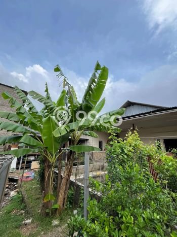Dijual Rumah Luas Megah Dengan View Cantik di Kunciran, Tangerang Dijual Rumah Luas Megah Dengan View Cantik di Kunciran, Tangerang