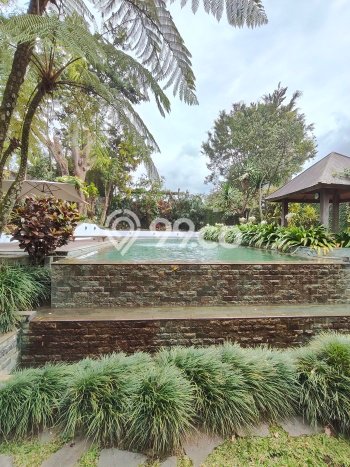 Rumah Mewah LB 700m2 Siap Pakai Desain Elegan di Ciumbuleuit, Bandung Rumah Mewah LB 700m2 Siap Pakai Desain Elegan di Ciumbuleuit, Bandung