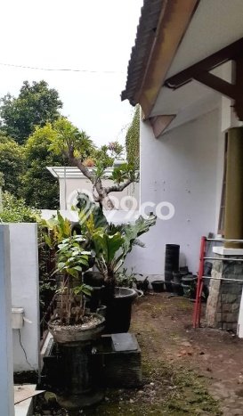 Rumah Luas Asri 2 KT Siap Pakai di Bintaro Tangerang Selatan Rumah Luas Asri 2 KT Siap Pakai di Bintaro Tangerang Selatan